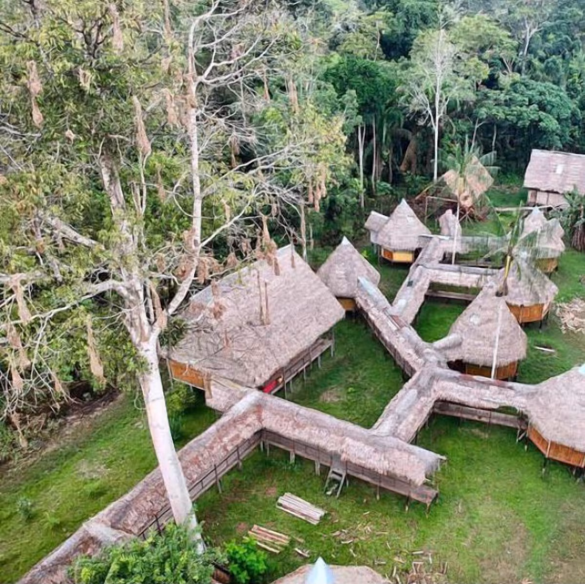 cumaceba amazon lodge 3 peru